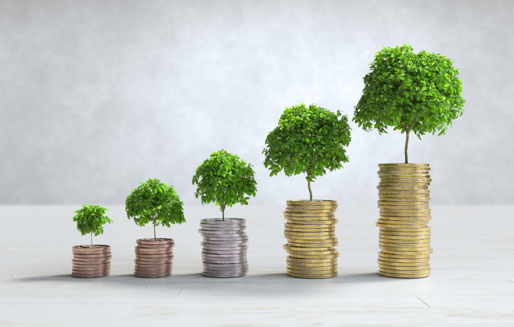 Hybrid Mutual Funds: Balancing Growth and Income